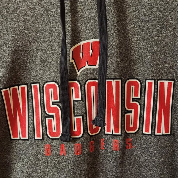 Wisconsin Badgers Lined Champion Hoodie Sweatshirt | Grey Size L Fleece Lined - Picture 4 of 9
